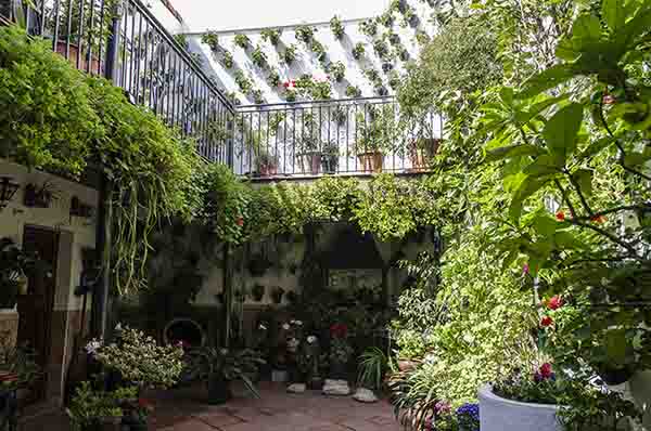 Córdoba 169 - barrio san Basilio - Patios del Alcazar Viejo - calle Duartas 2.jpg